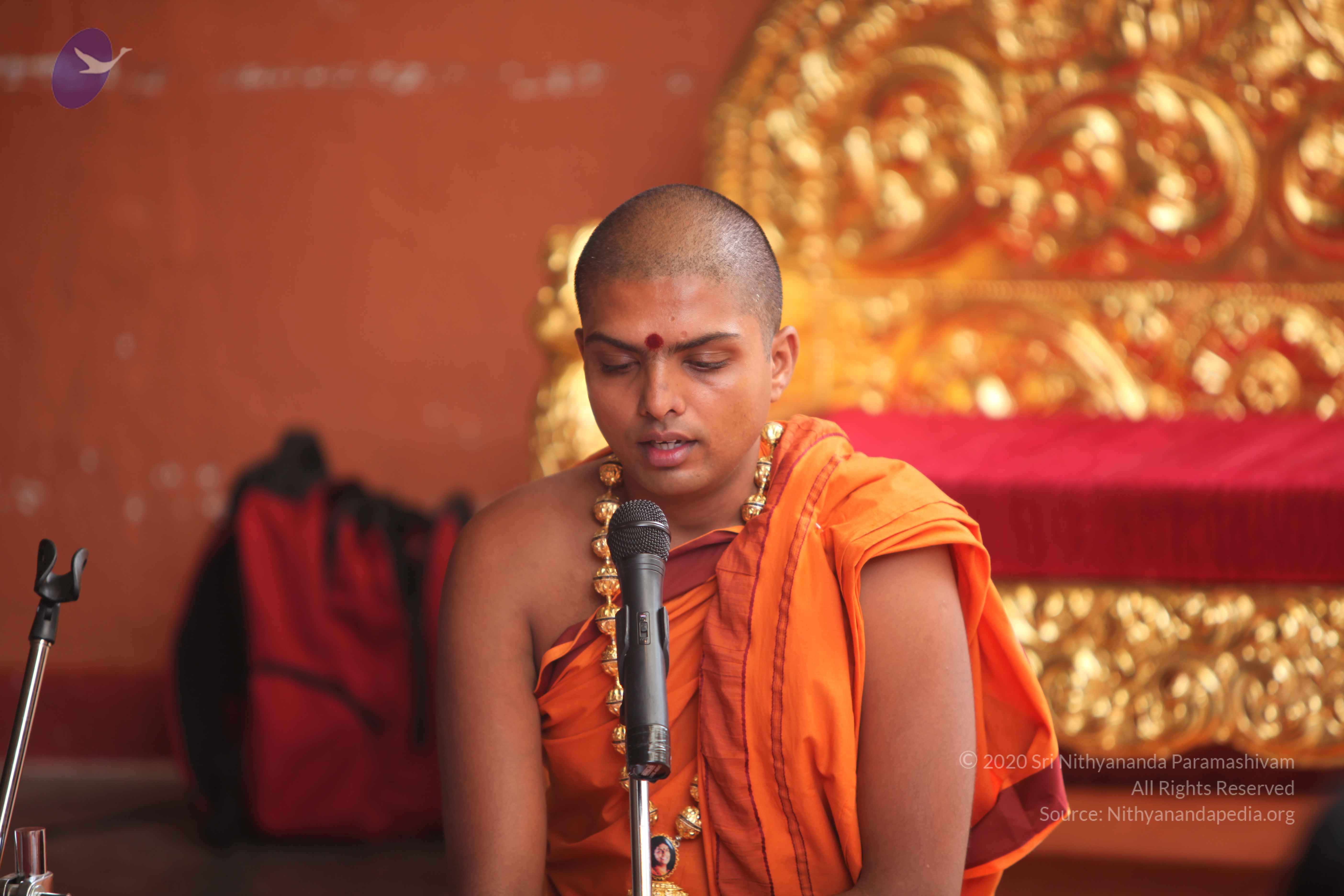 20101030_Photo_1246_IMG_7721_CMP_WM