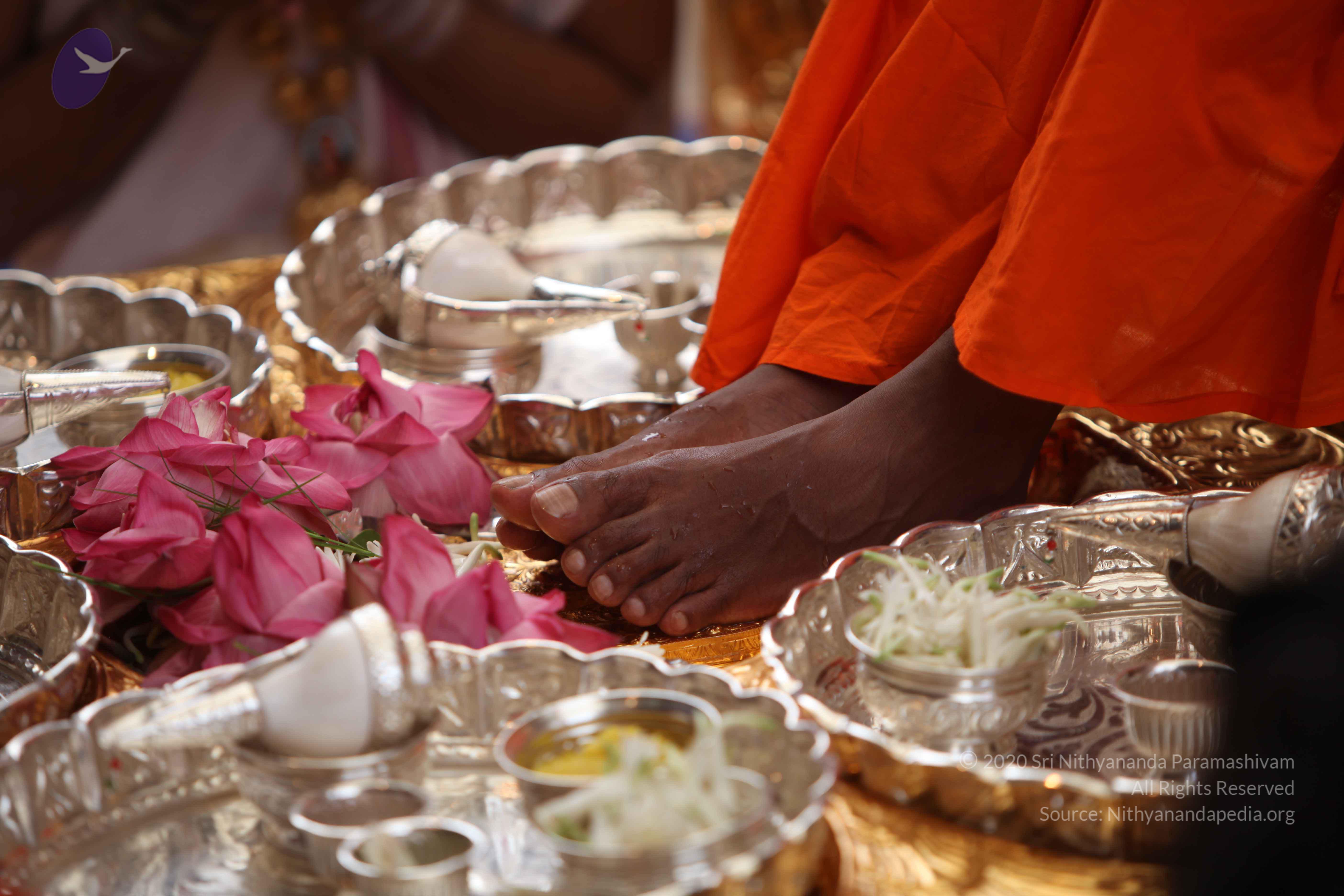 20101030_Photo_1248_IMG_7743_CMP_WM