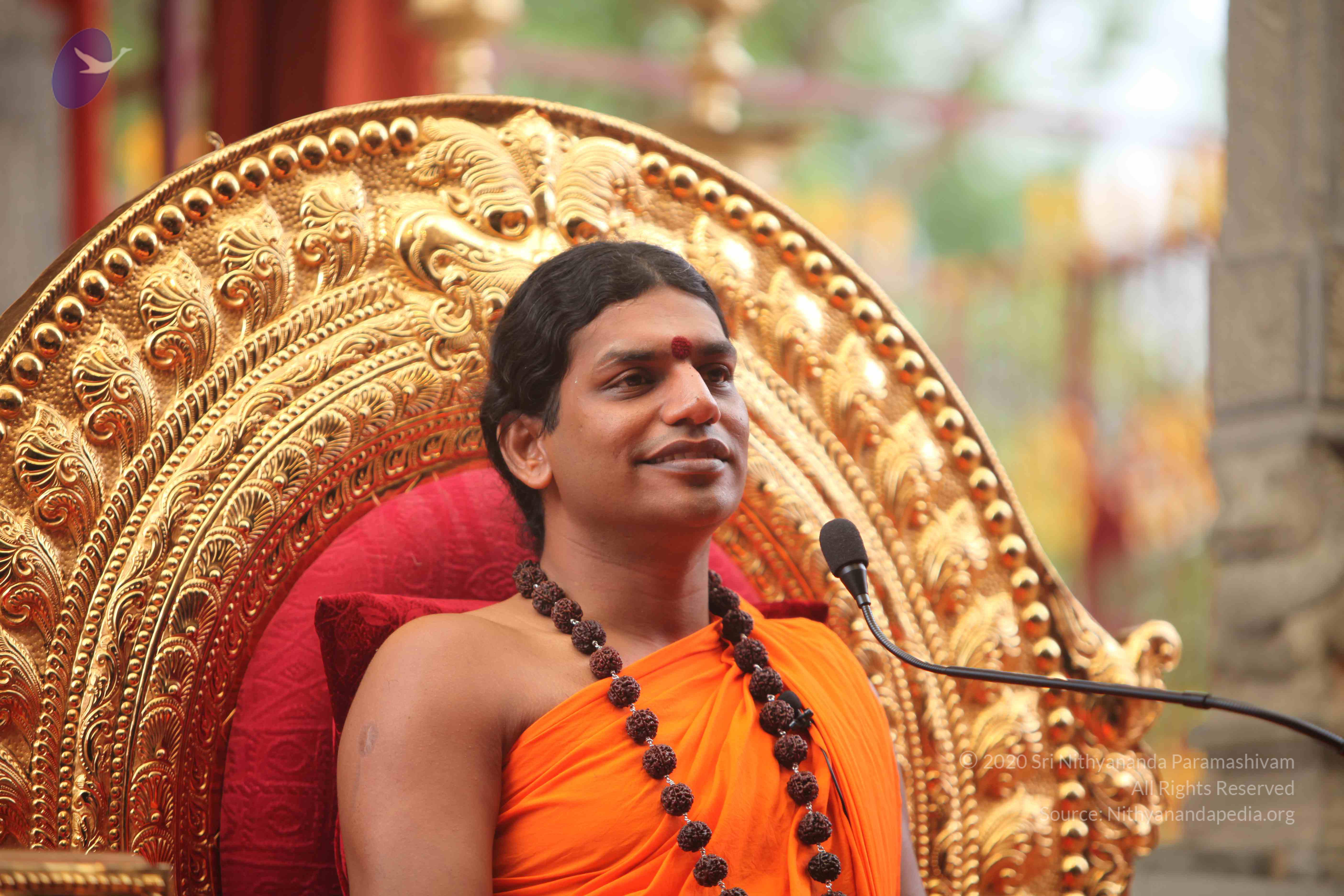 20101030_Photo_1249_IMG_7893_CMP_WM