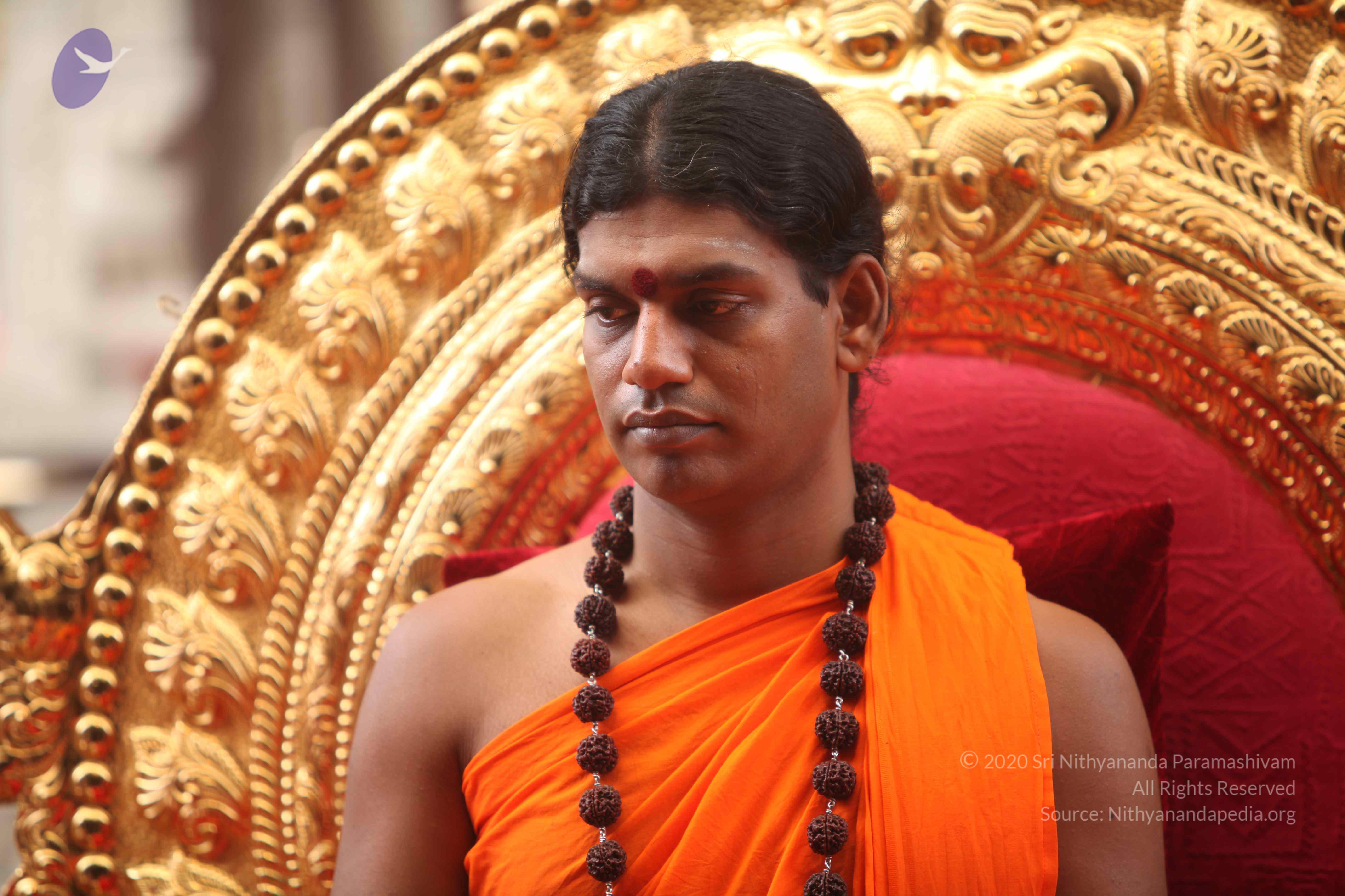 20101030_Photo_1251_IMG_7839_CMP_WM