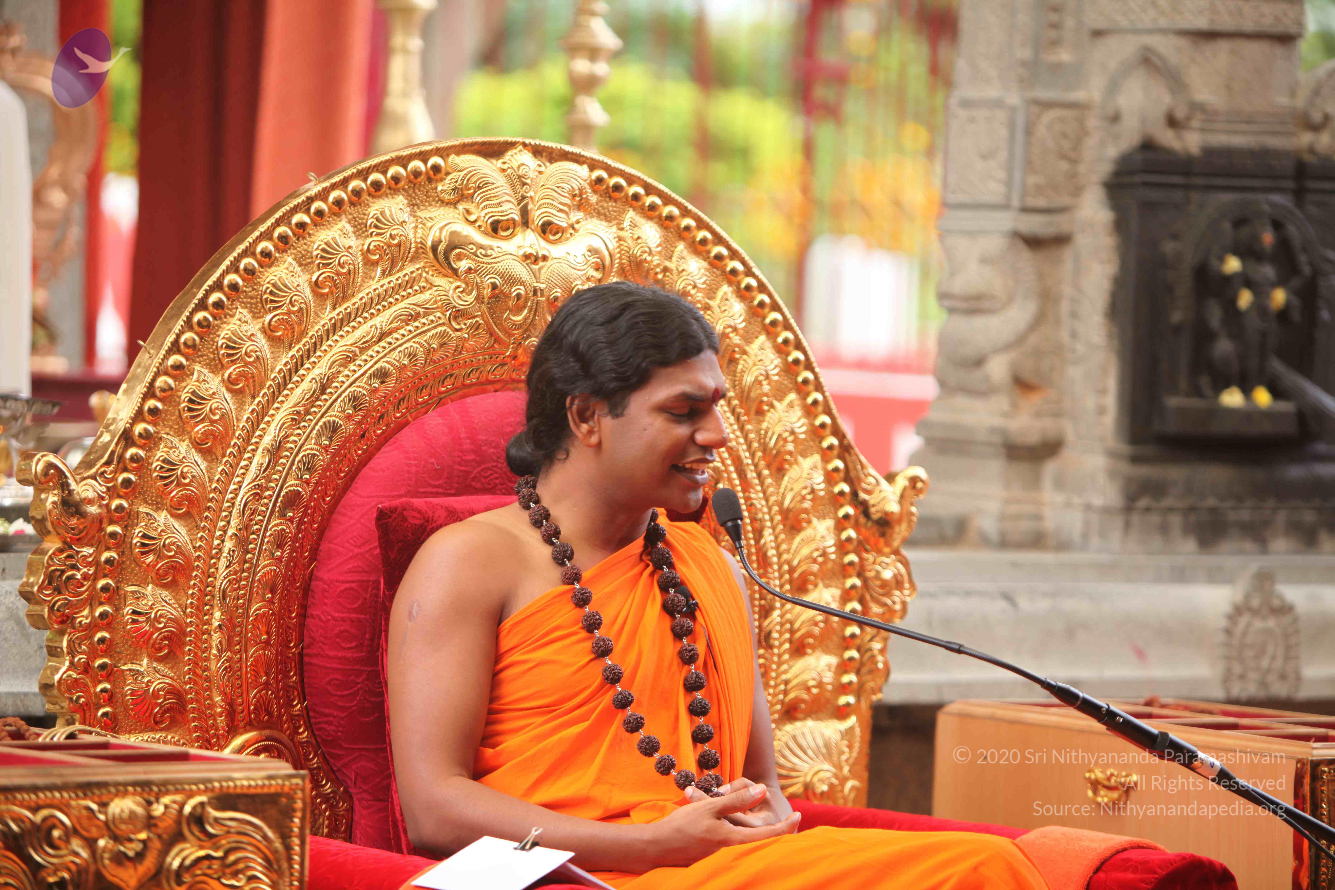 20101030_Photo_1254_IMG_7875_CMP_WM