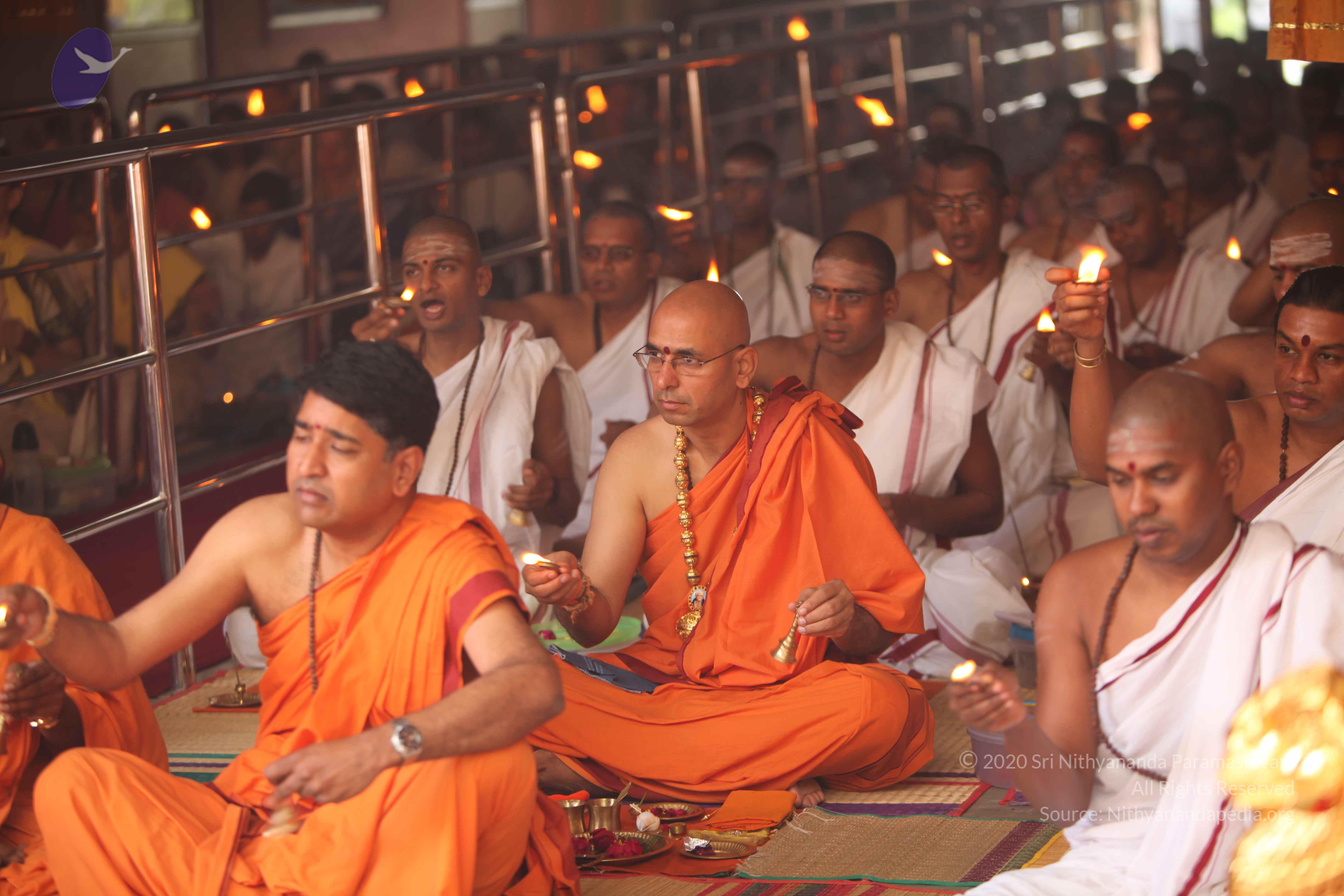 20101030_Photo_1258_IMG_7817_CMP_WM