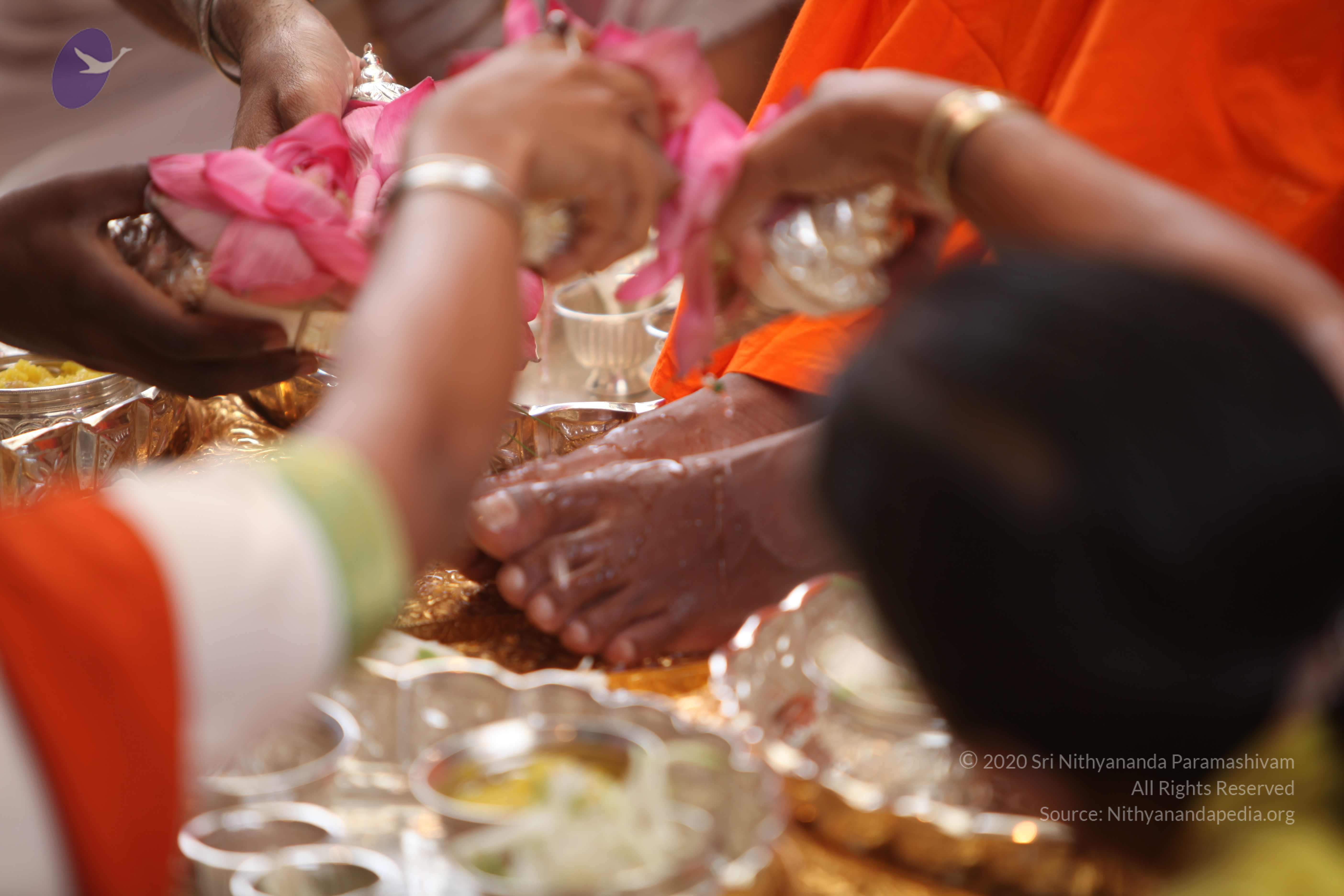 20101030_Photo_1260_IMG_7738_CMP_WM