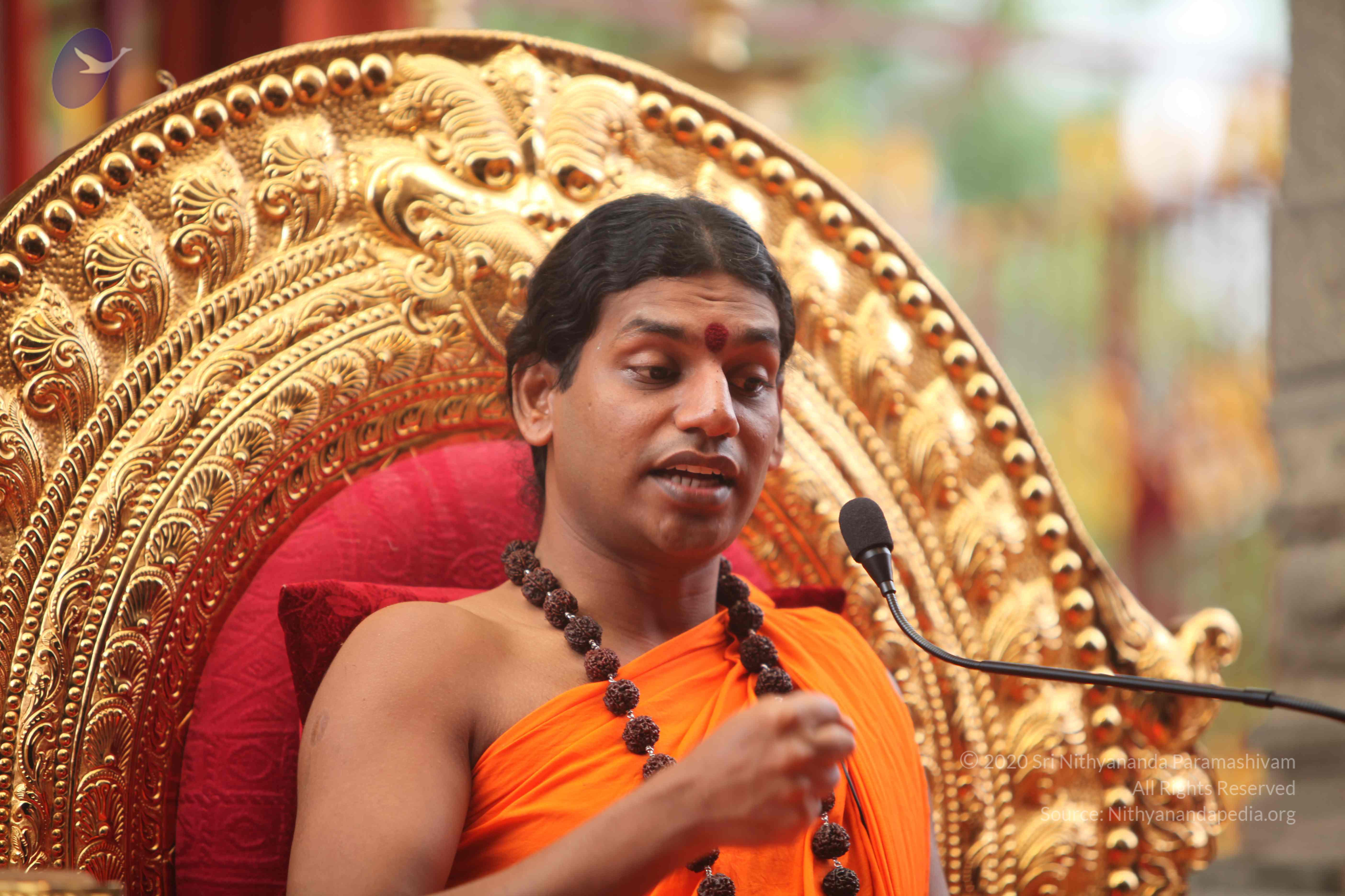 20101030_Photo_1266_IMG_7896_CMP_WM