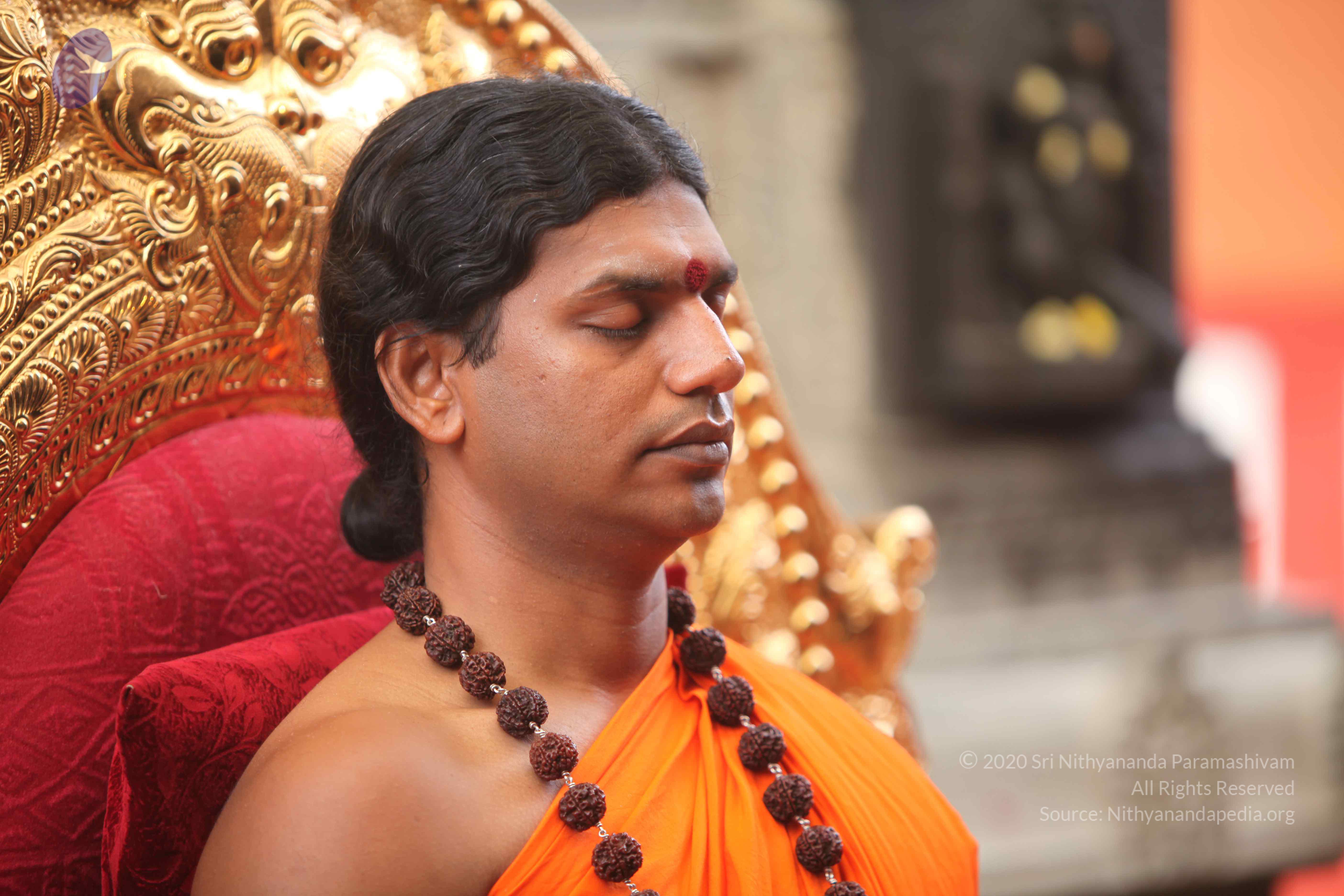 20101030_Photo_1270_IMG_7760_CMP_WM