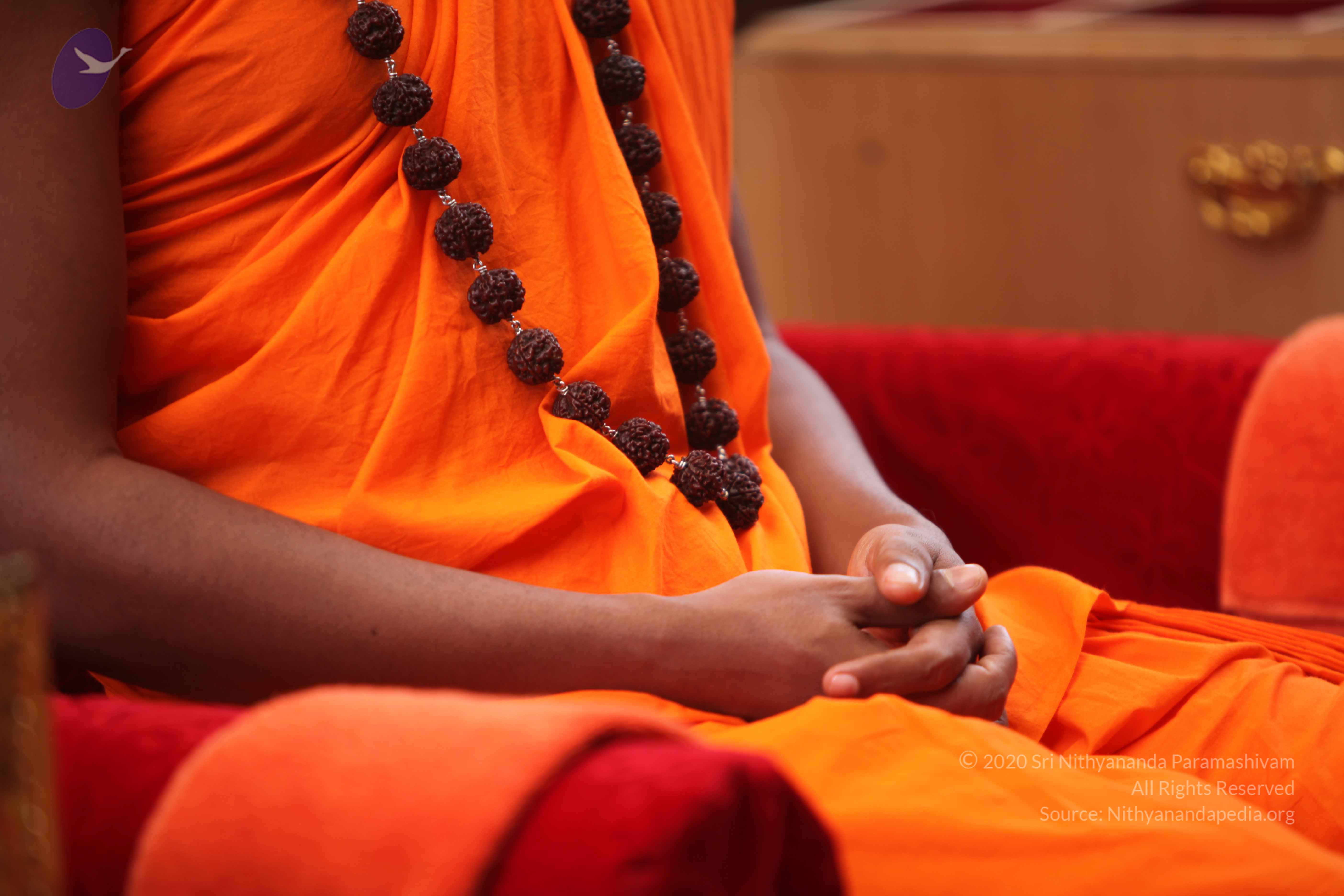 20101030_Photo_1271_IMG_7757_CMP_WM