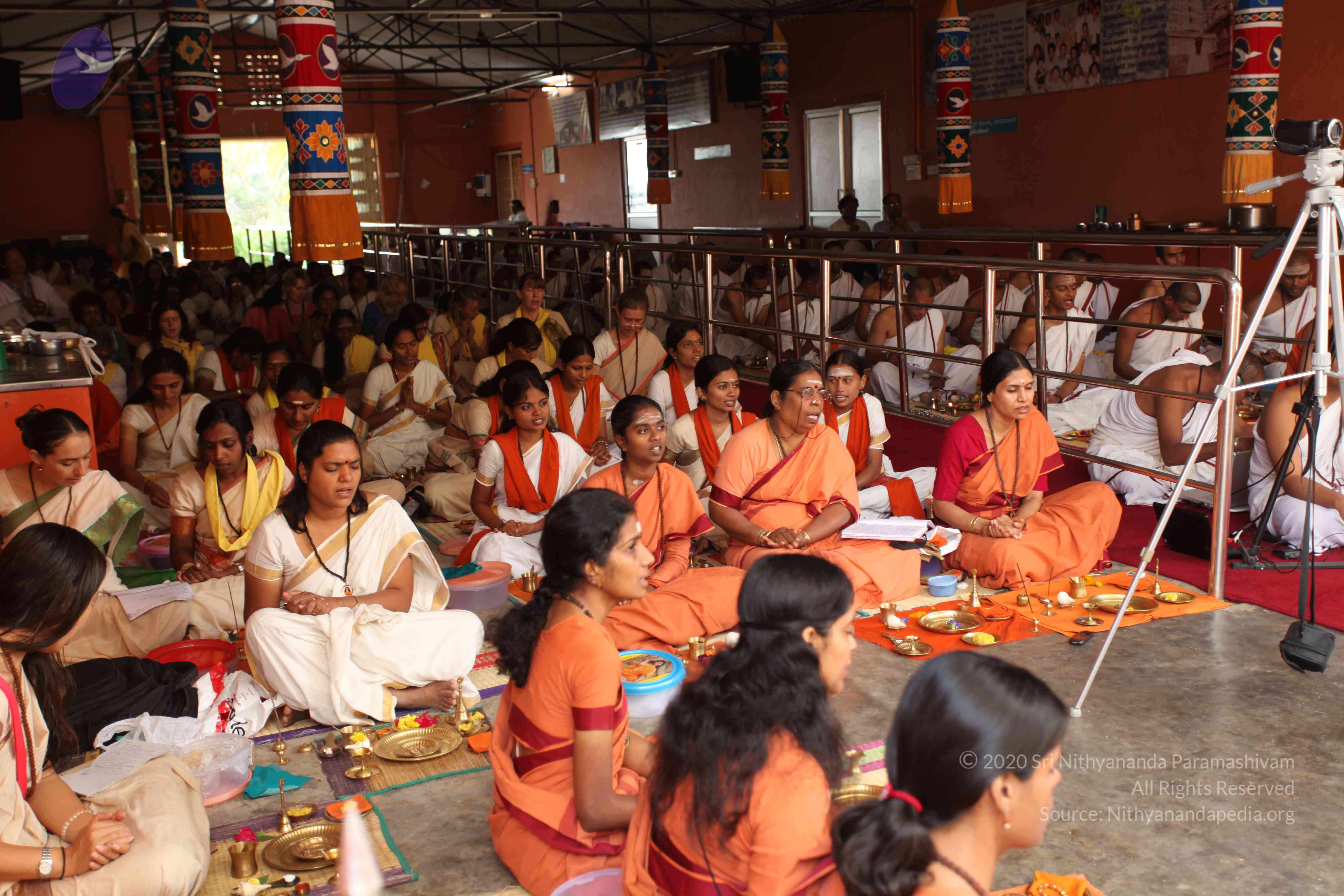 20101030_Photo_1272_IMG_7702_CMP_WM