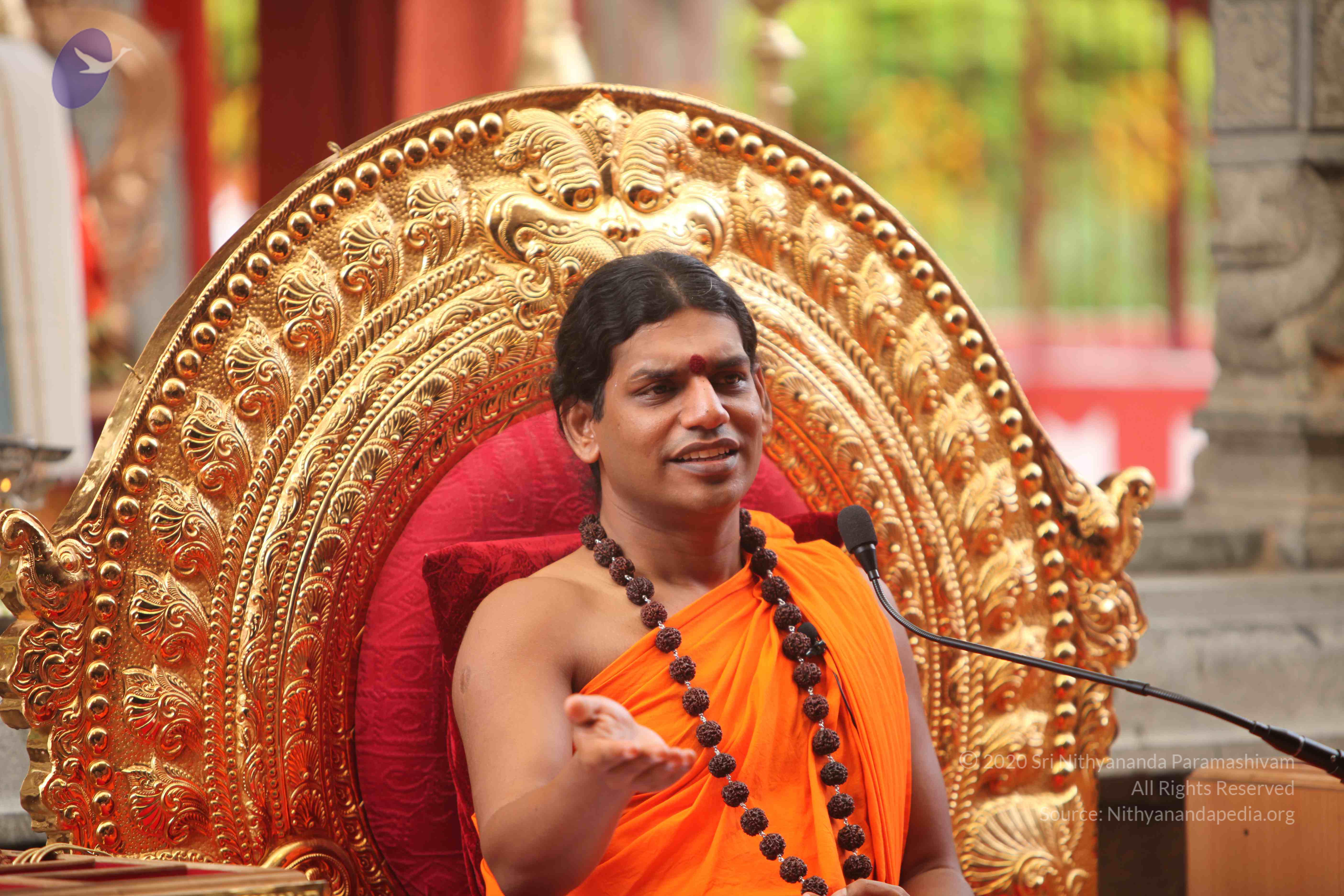 20101030_Photo_1275_IMG_7878_CMP_WM