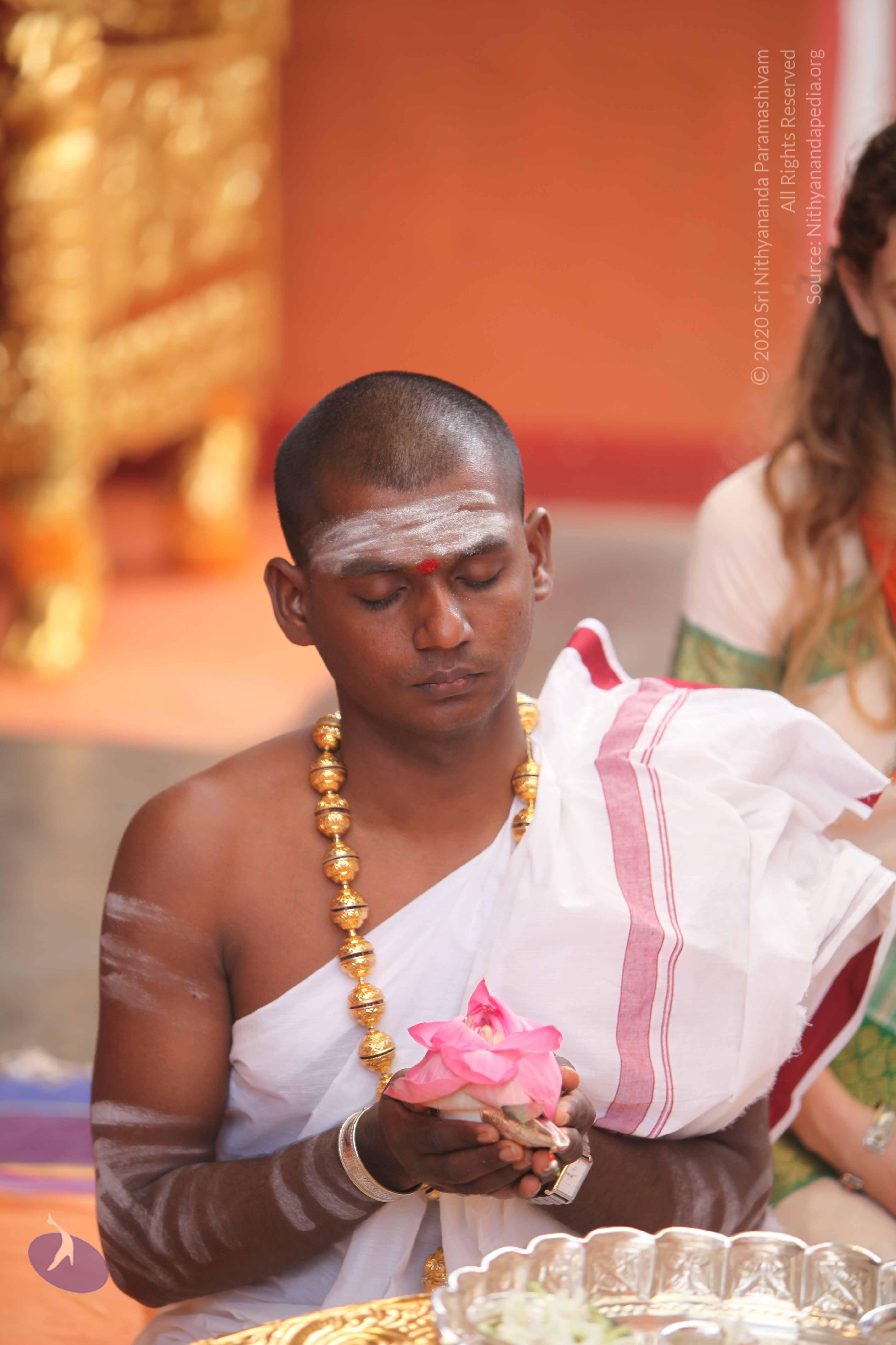 20101030_Photo_1276_IMG_7729_CMP_WM