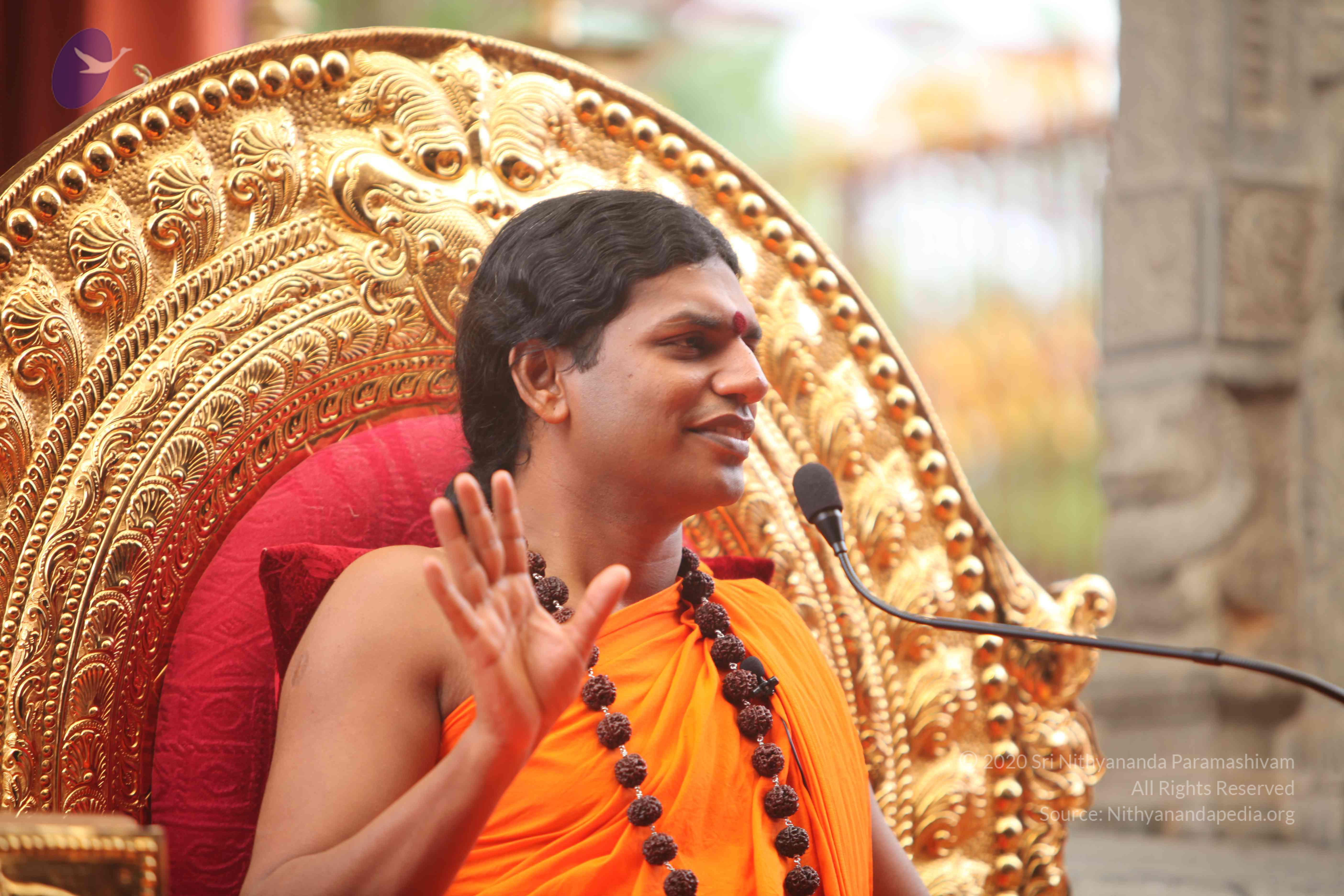 20101030_Photo_1277_IMG_7912_CMP_WM