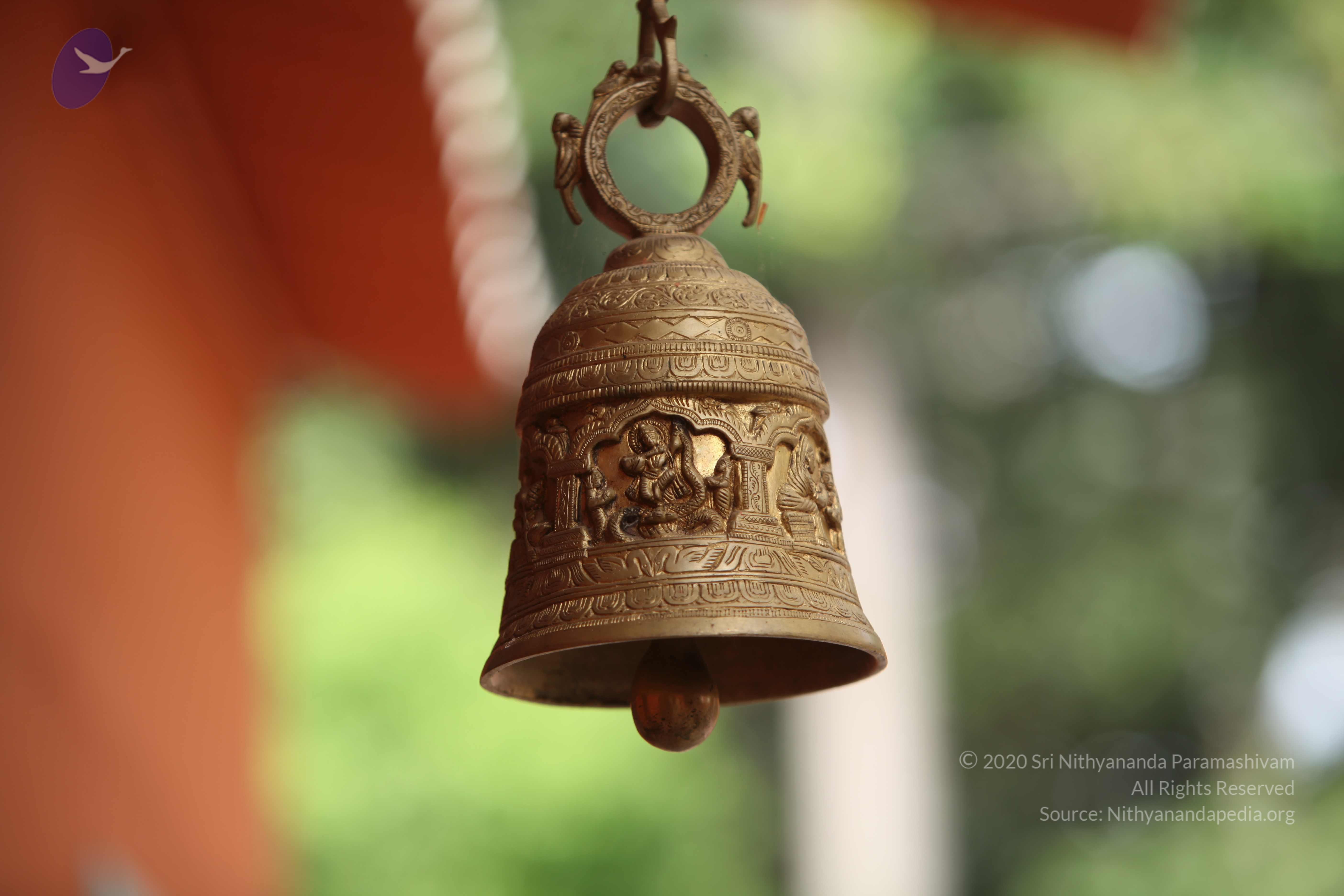 20101030_Photo_1279_IMG_7806_CMP_WM