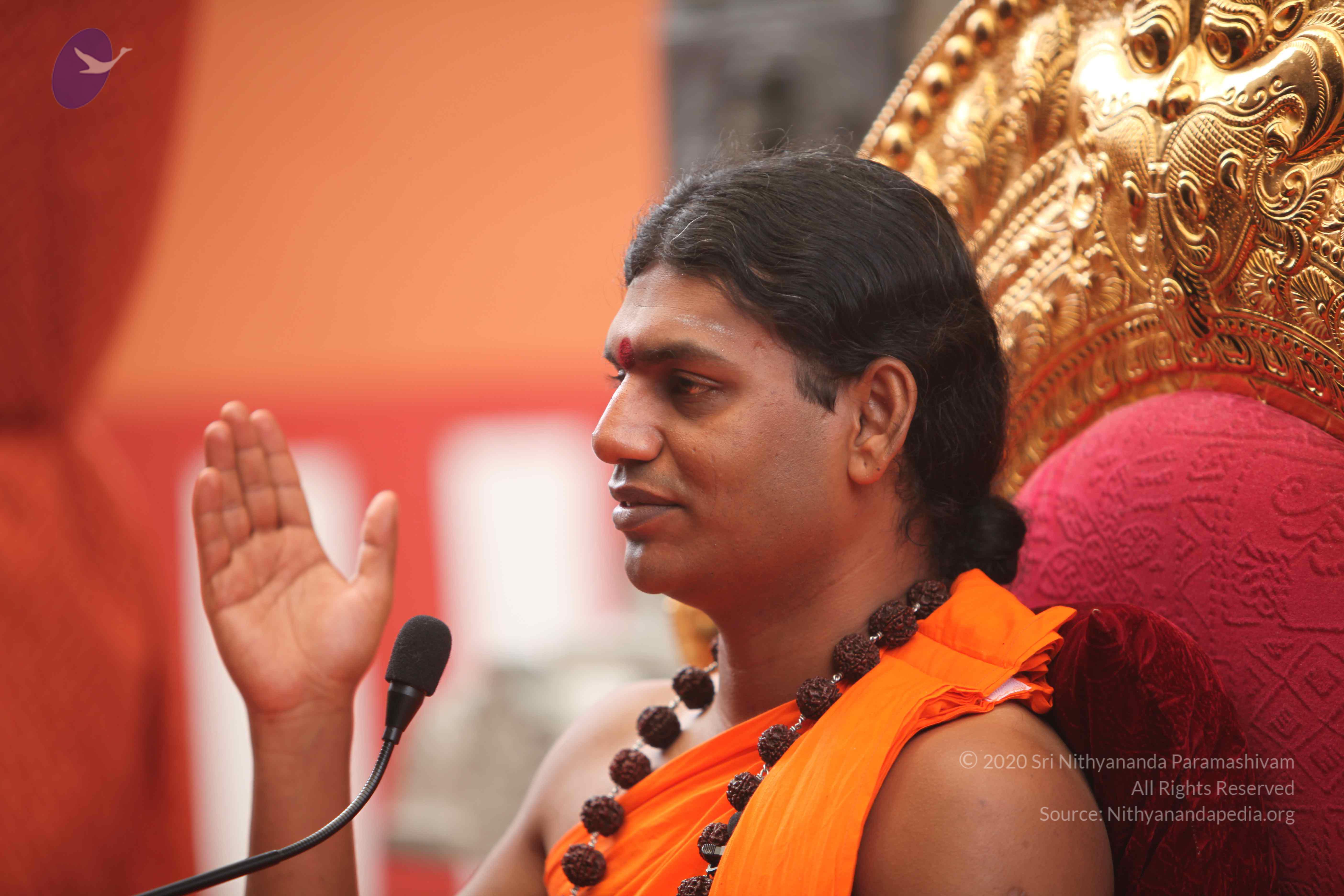 20101030_Photo_1285_IMG_7864_CMP_WM