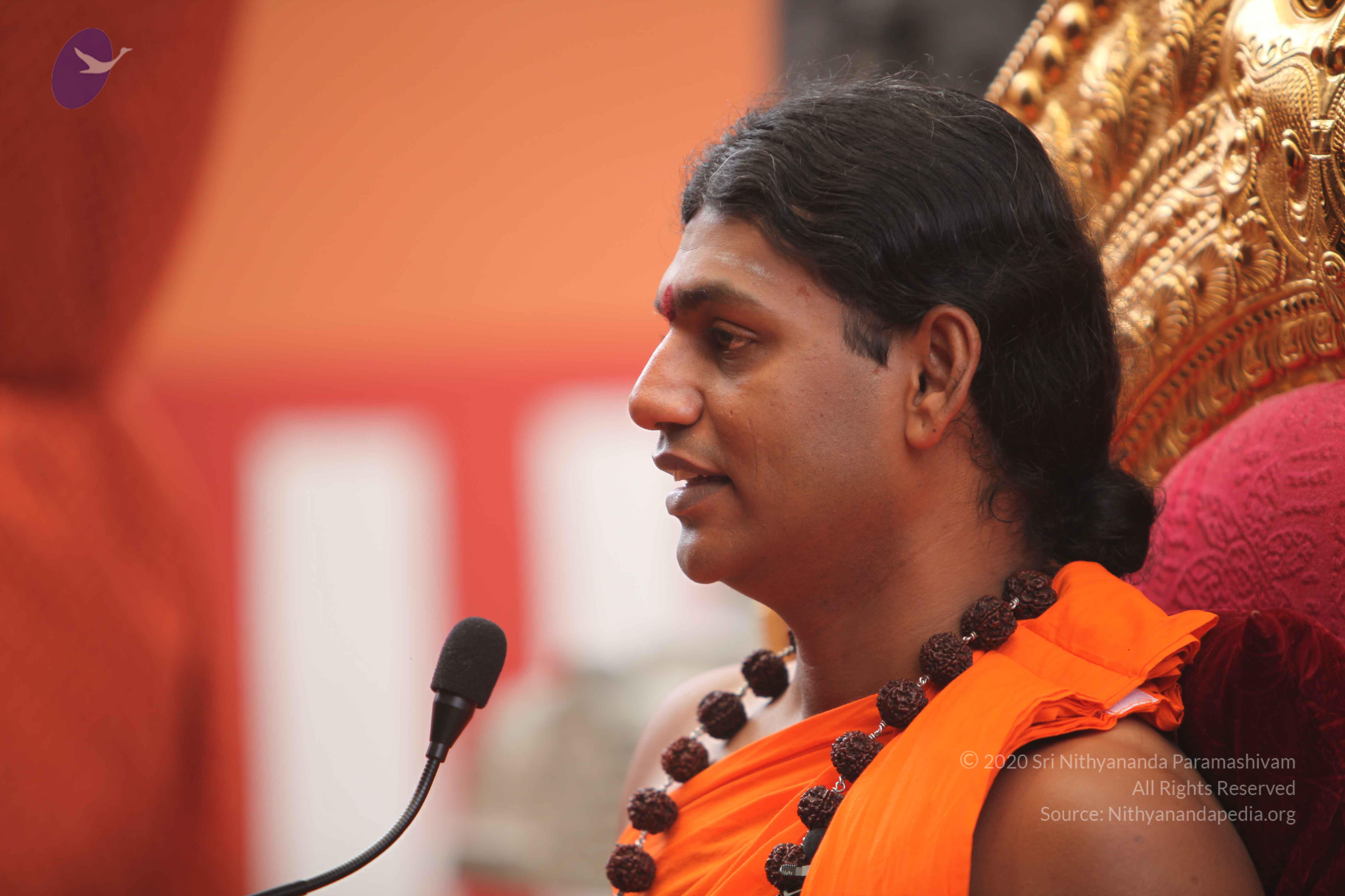 20101030_Photo_1286_IMG_7853_CMP_WM