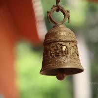 20101030_Photo_1022_IMG_7805_CMP_WM