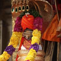 20101030_Photo_1050_IMG_7751_CMP_WM