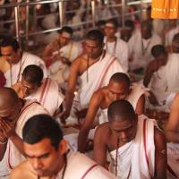 20101030_Photo_1063_IMG_7777_CMP_WM