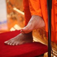 20101030_Photo_1068_IMG_7844_CMP_WM