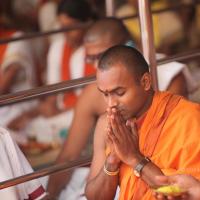 20101030_Photo_1126_IMG_7796_CMP_WM