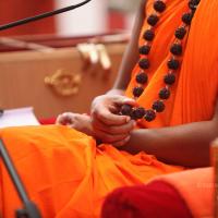 20101030_Photo_1147_IMG_7863_CMP_WM