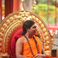 20101030_Photo_1157_IMG_7880_CMP_WM