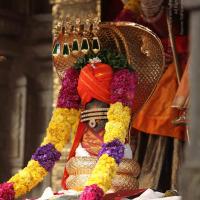 20101030_Photo_1159_IMG_7750_CMP_WM