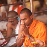 20101030_Photo_1173_IMG_7795_CMP_WM