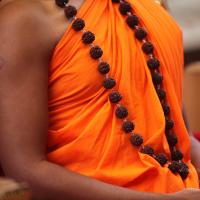 20101030_Photo_1201_IMG_7758_CMP_WM