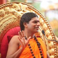 20101030_Photo_1277_IMG_7912_CMP_WM