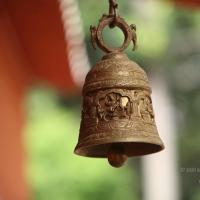 20101030_Photo_1279_IMG_7806_CMP_WM