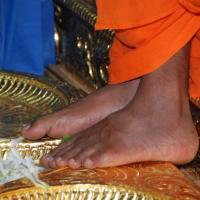 20100916_Photo_1007_DSC_8100_CMP_WM