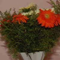 20100916_Photo_1064_DSC_8255_CMP_WM