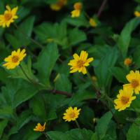 20100916_Photo_1000_DSC_7876_CMP_WM