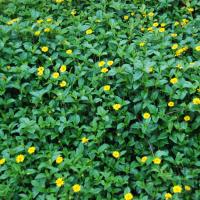 20100916_Photo_1003_DSC_7881_CMP_WM