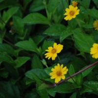 20100916_Photo_1004_DSC_7873_CMP_WM