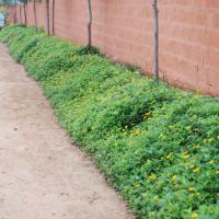 20100916_Photo_1005_DSC_7868_CMP_WM