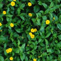 20100916_Photo_1007_DSC_7879_CMP_WM