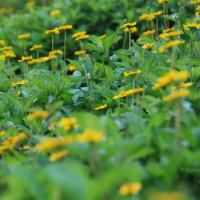 20100916_Photo_1009_DSC_7871_CMP_WM