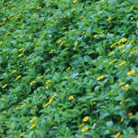 20100916_Photo_1010_DSC_7880_CMP_WM