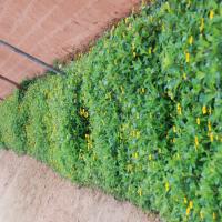 20100916_Photo_1017_DSC_7869_CMP_WM