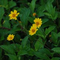 20100916_Photo_1018_DSC_7875_CMP_WM