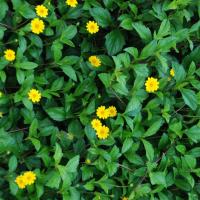 20100916_Photo_1019_DSC_7878_CMP_WM