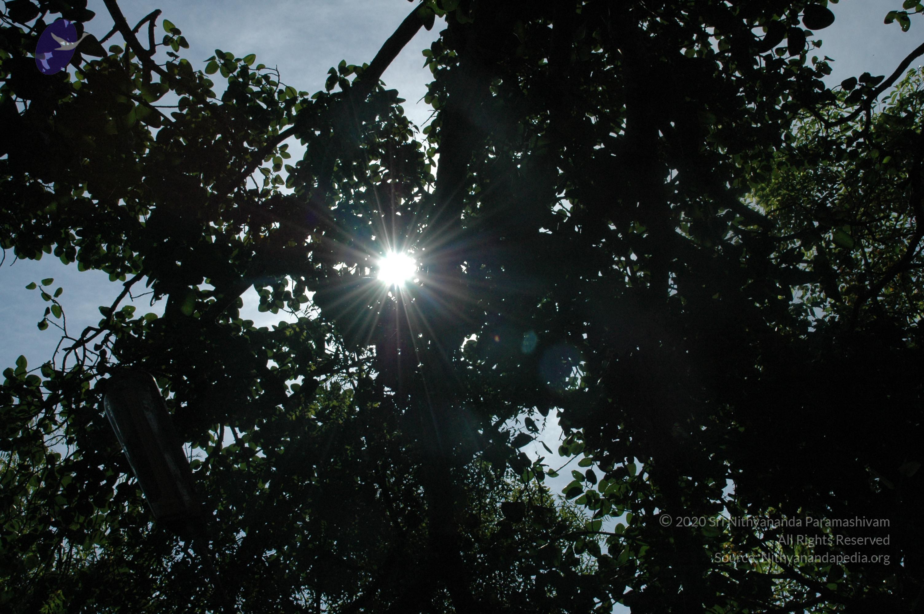 20100929_Photo_1000_DSC_6186_CMP_WM