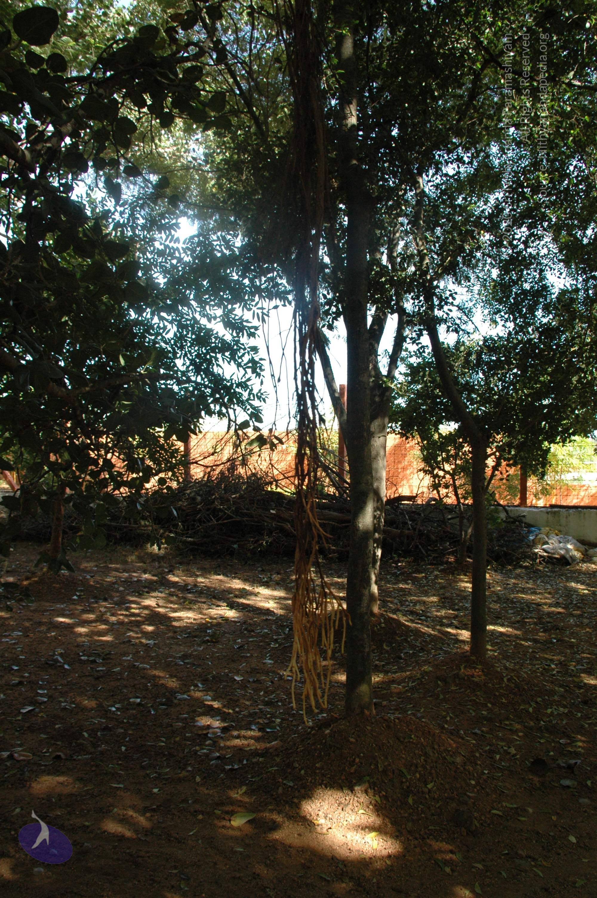 20100929_Photo_1002_DSC_6192_CMP_WM