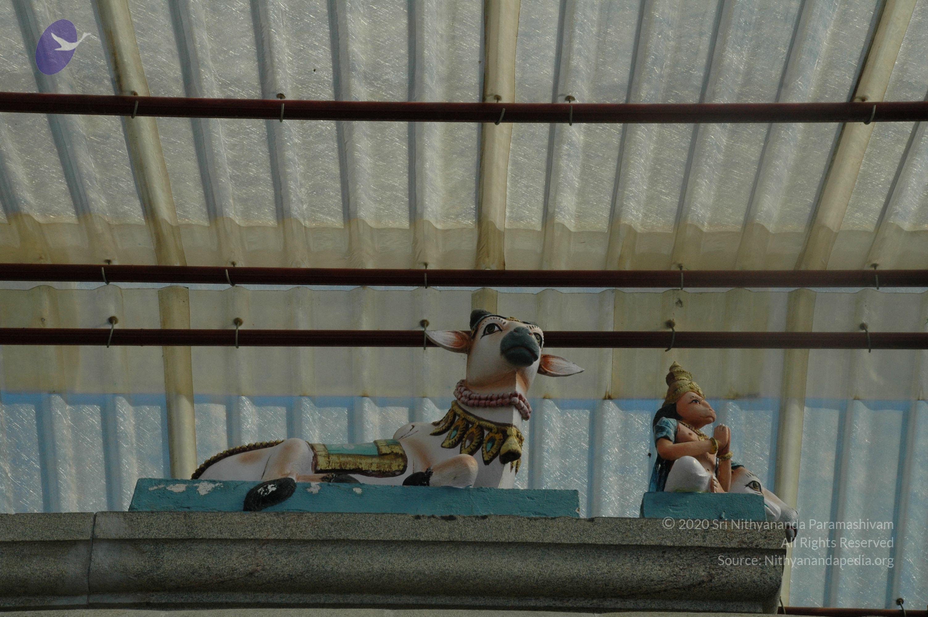 20100929_Photo_1003_DSC_6160_CMP_WM