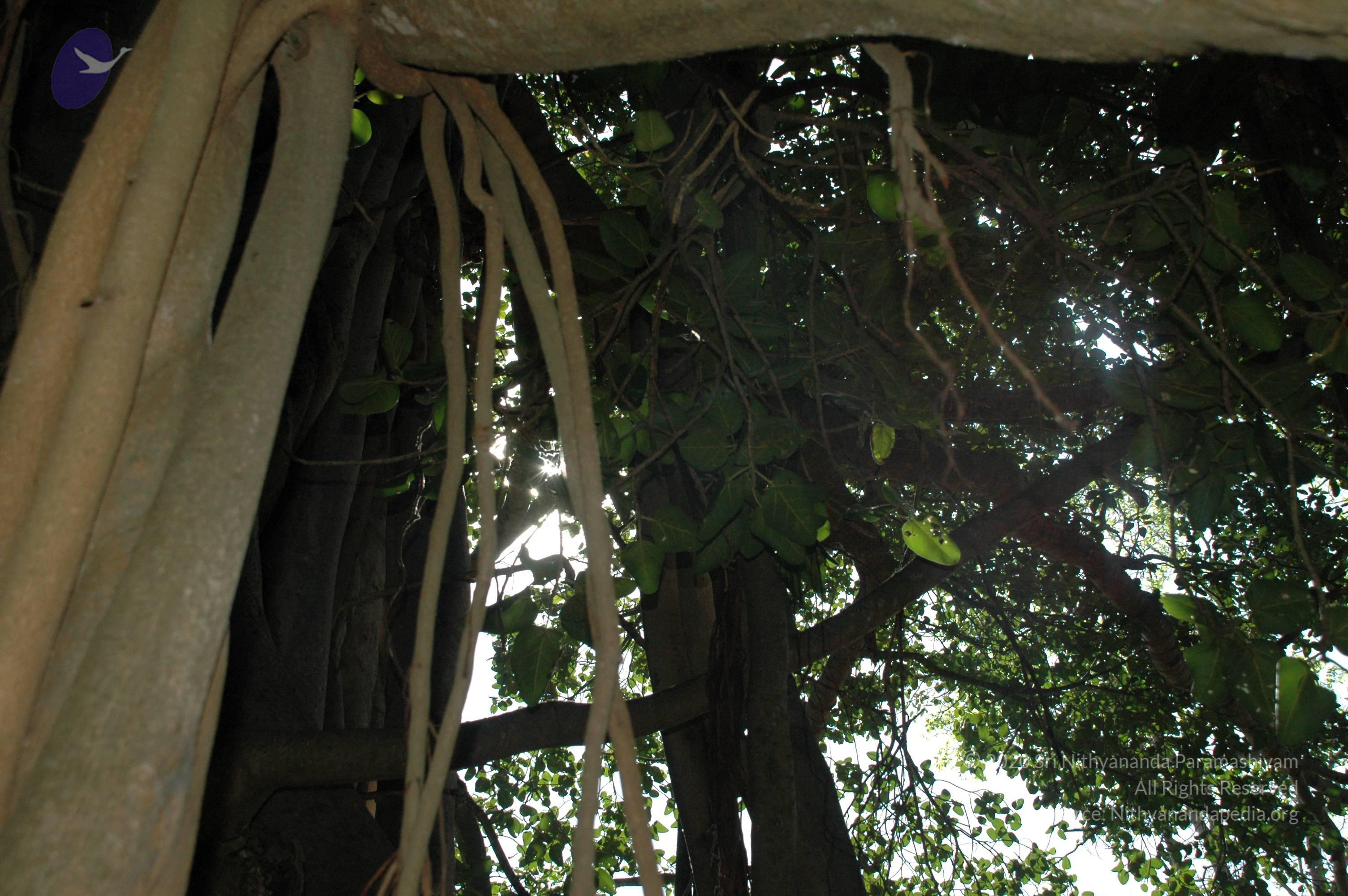 20100929_Photo_1005_DSC_6189_CMP_WM