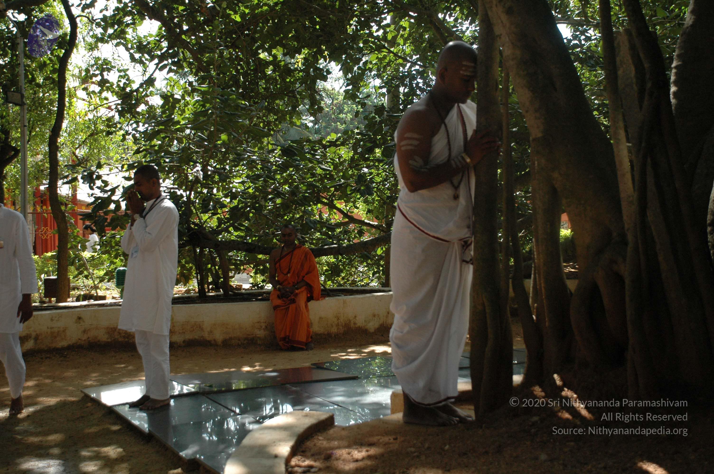 20100929_Photo_1008_DSC_6190_CMP_WM