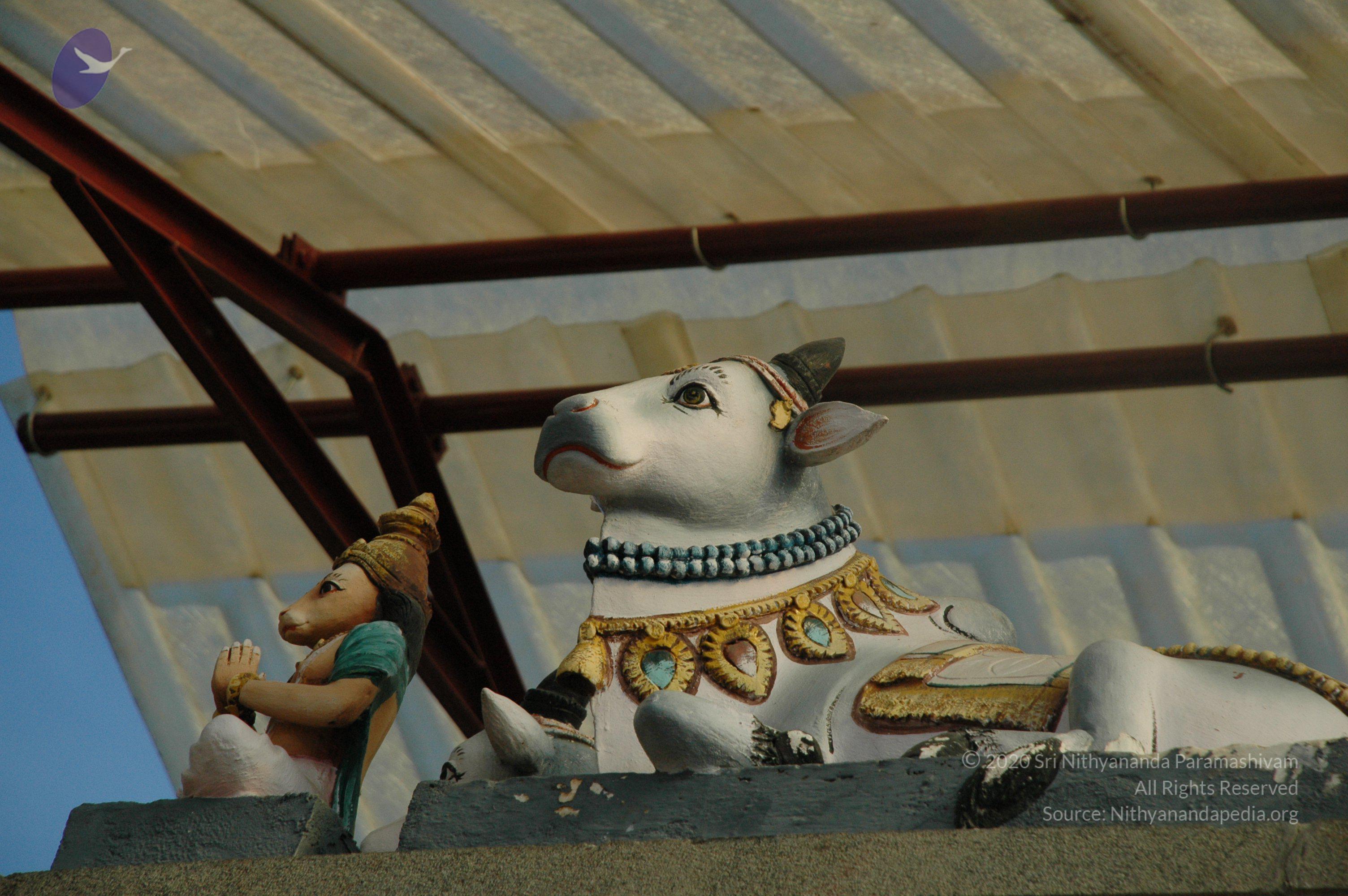 20100929_Photo_1009_DSC_6161_CMP_WM