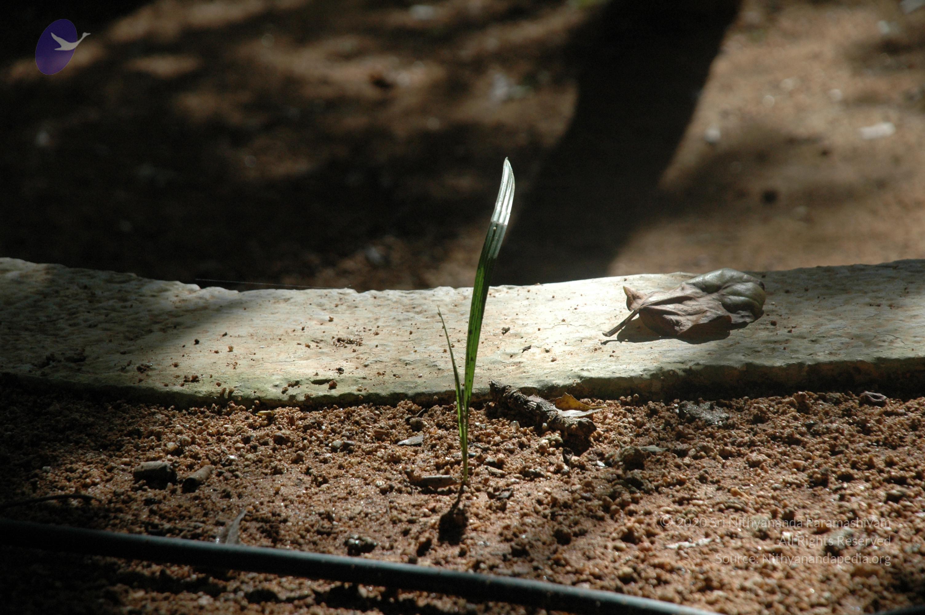 20100929_Photo_1010_DSC_6187_CMP_WM