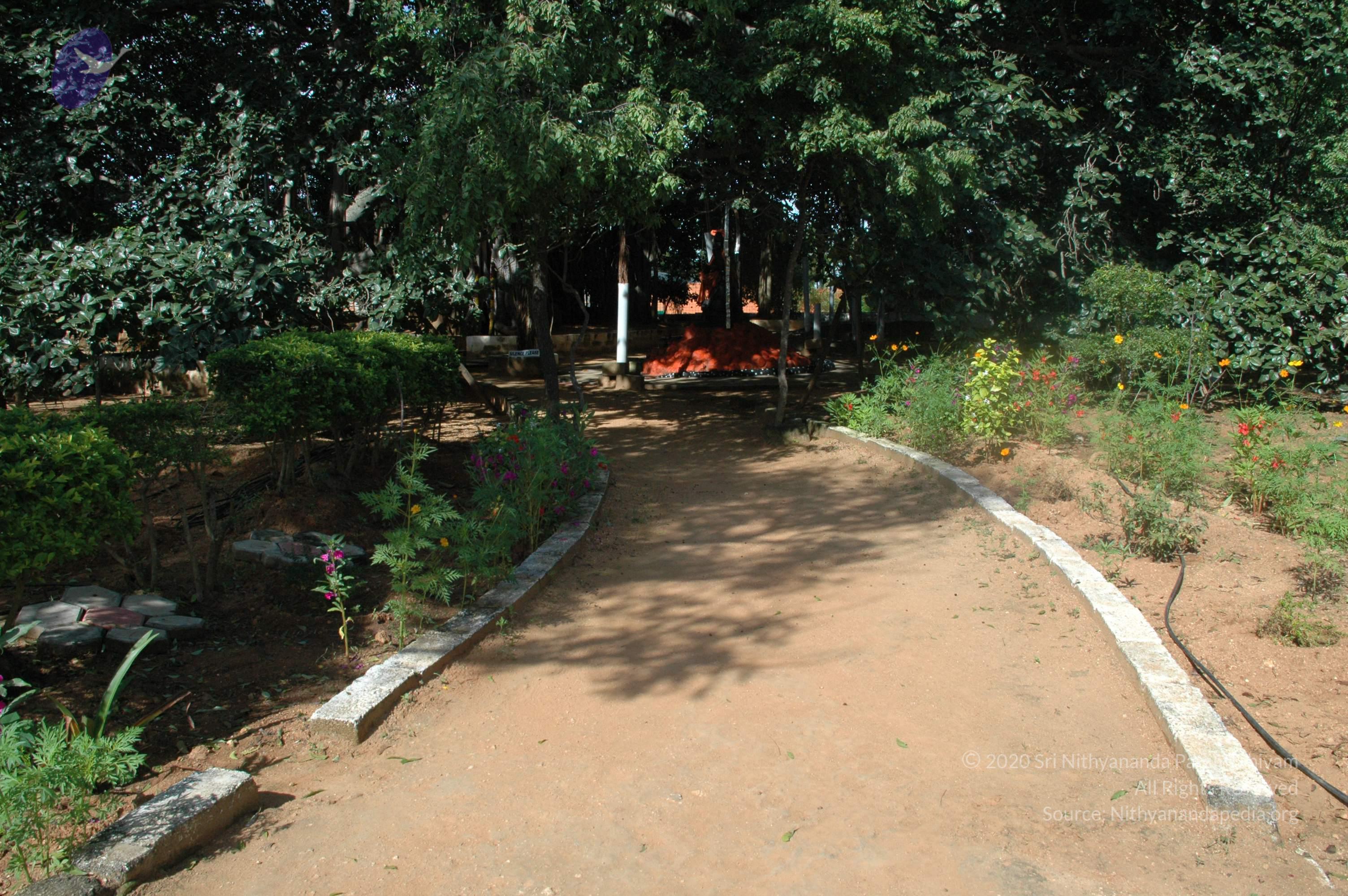 20100929_Photo_1011_DSC_6178_CMP_WM