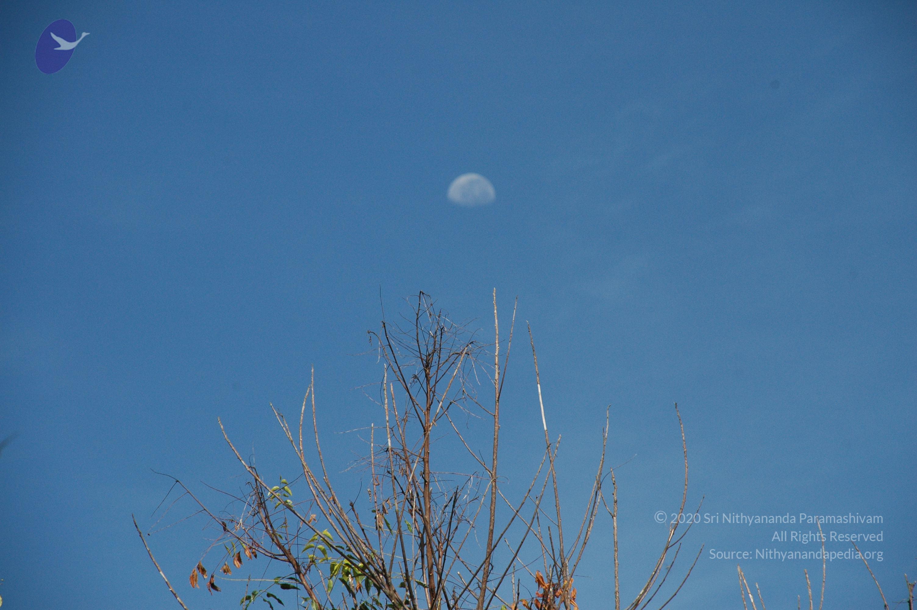 20100929_Photo_1012_DSC_6142_CMP_WM